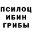 Псилоцибиновые грибы мухоморы Marton L