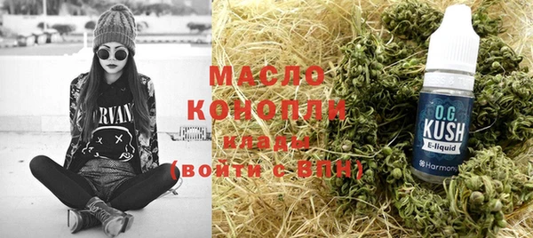 гашик Ельня