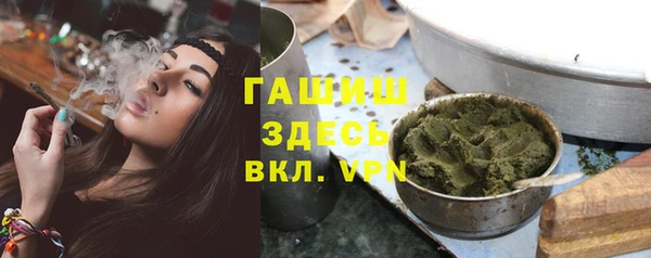 гашик Ельня