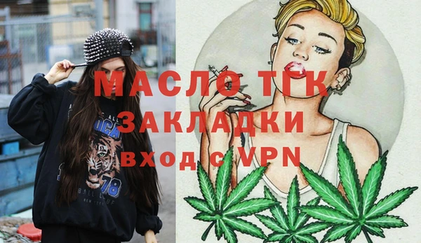 гашик Ельня