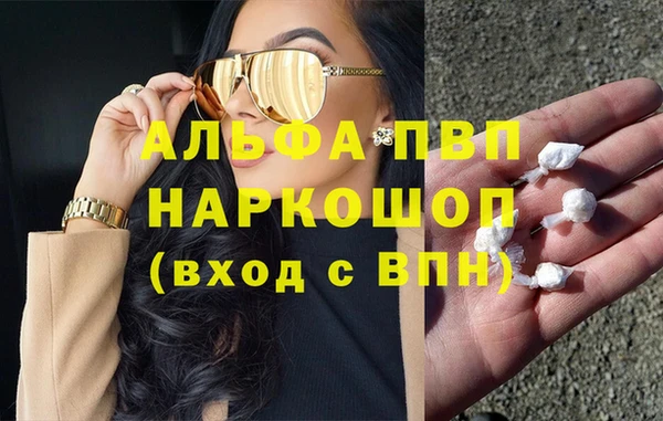 гашик Ельня
