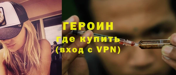 гашик Ельня
