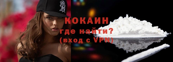 гашик Ельня