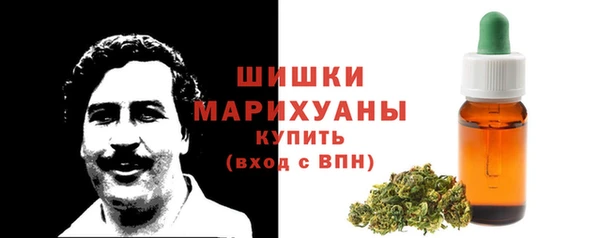 гашик Ельня