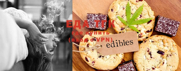 гашик Ельня