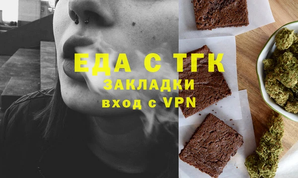 гашик Ельня