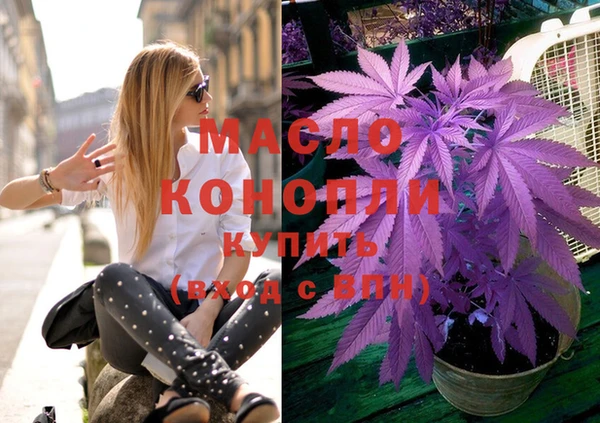 гашик Ельня