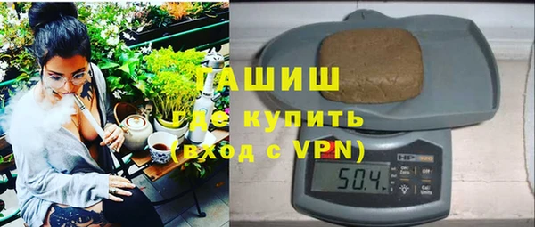 гашик Ельня