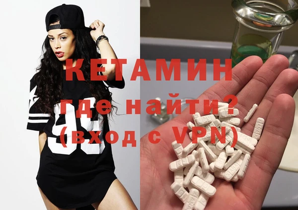 гашик Ельня