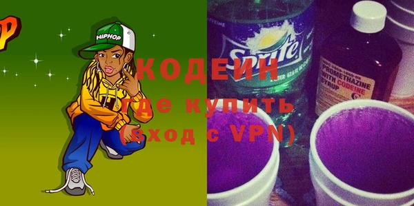 гашик Ельня