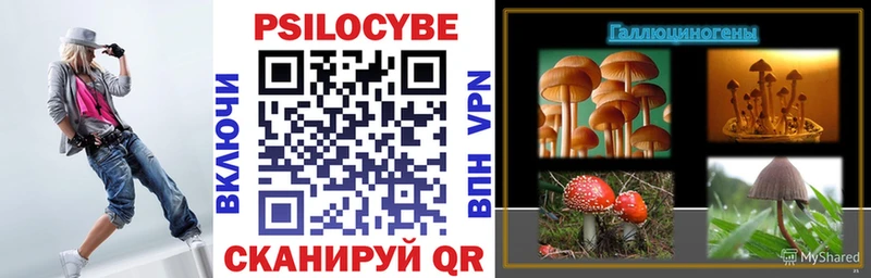 Галлюциногенные грибы прущие грибы  ОМГ ОМГ   Энем 